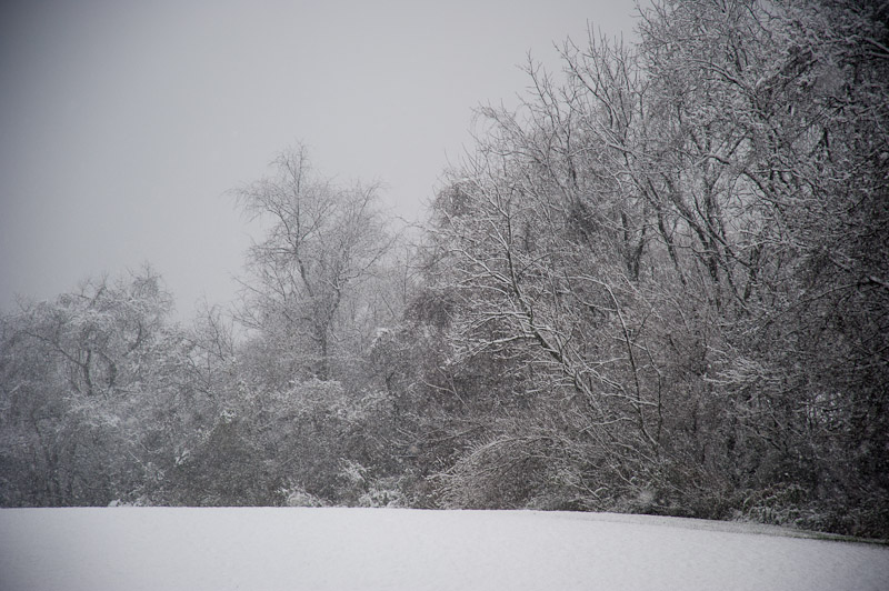 First snowfall, December 2009