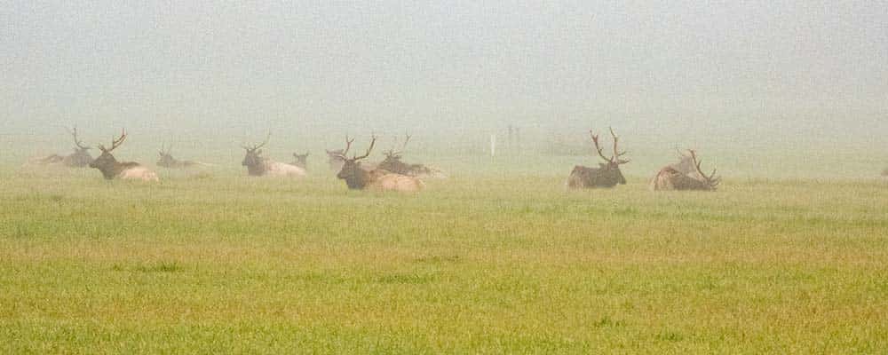Kathleen Charters and Lawrence Charters
