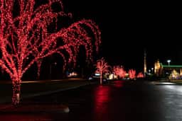 Red Trees, Seven Cedars Casino, Christmas lights, Sequim, December 25, 2018